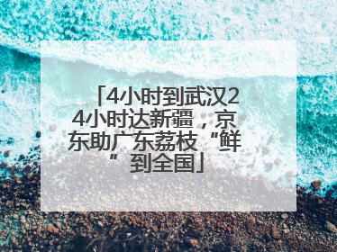 4小时到武汉24小时达新疆，京东助广东荔枝“鲜”到全国